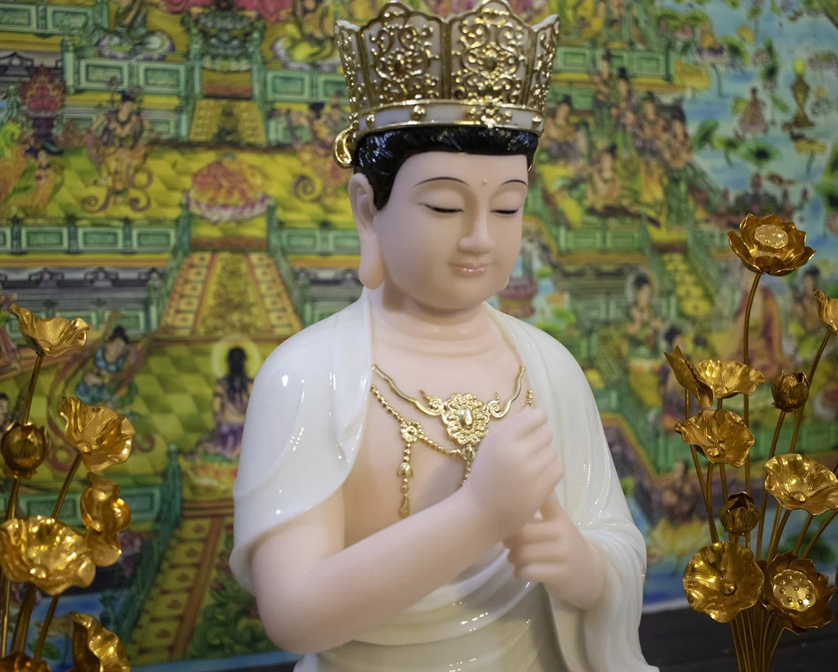 cận mặt tượng Tỳ Lô Giá Na và thủ ấn